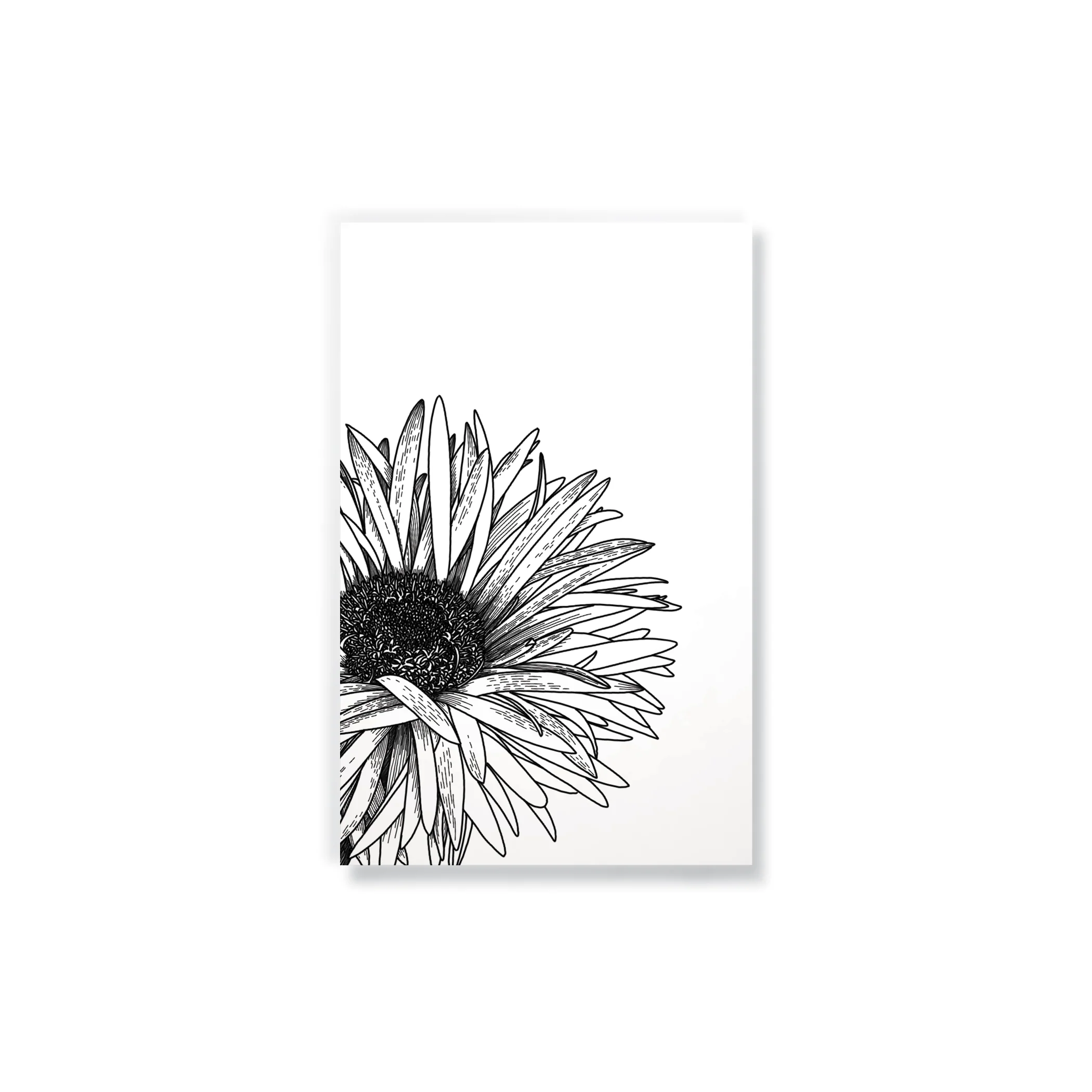 Daisy Notebook