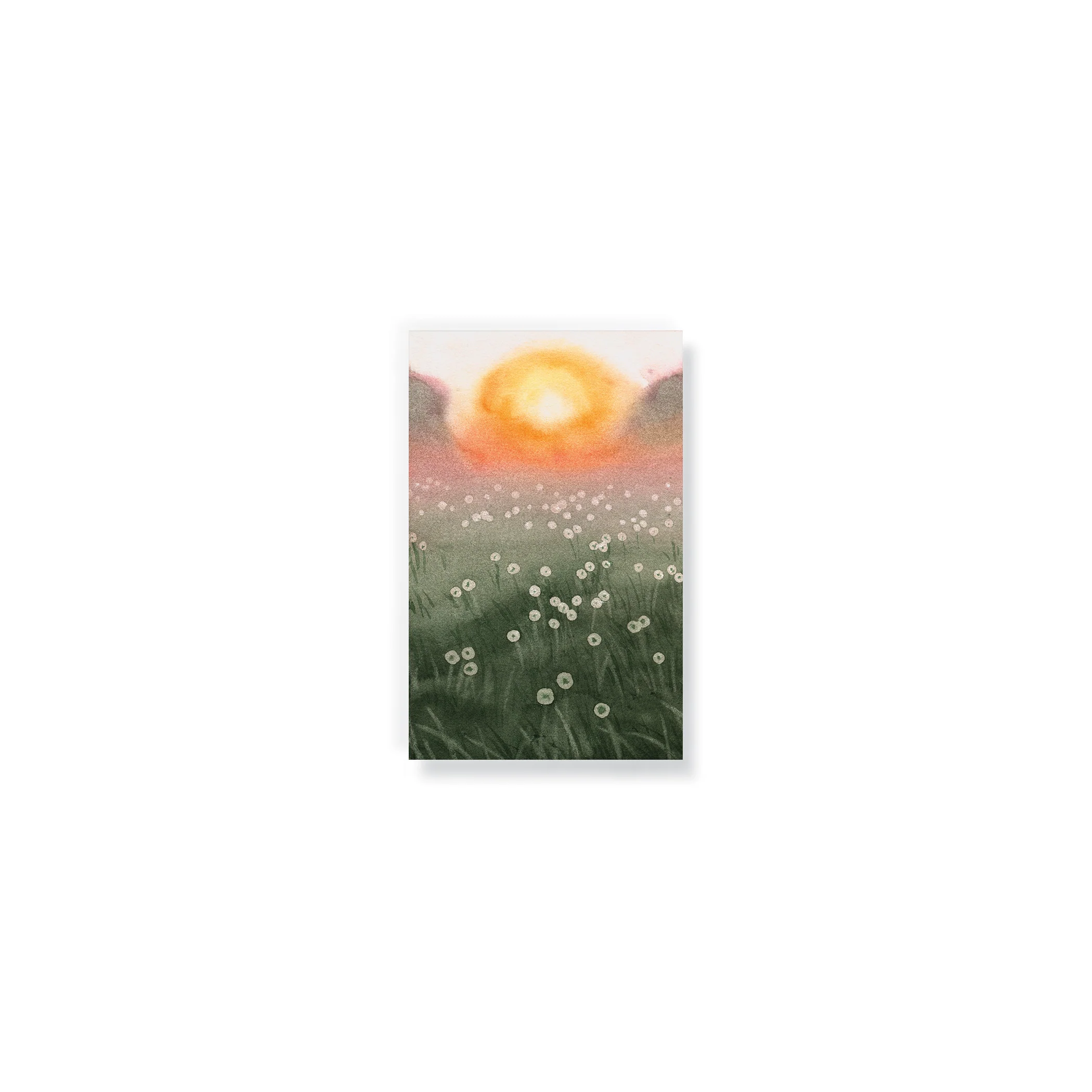 Dewy Morning Pocket Notebook