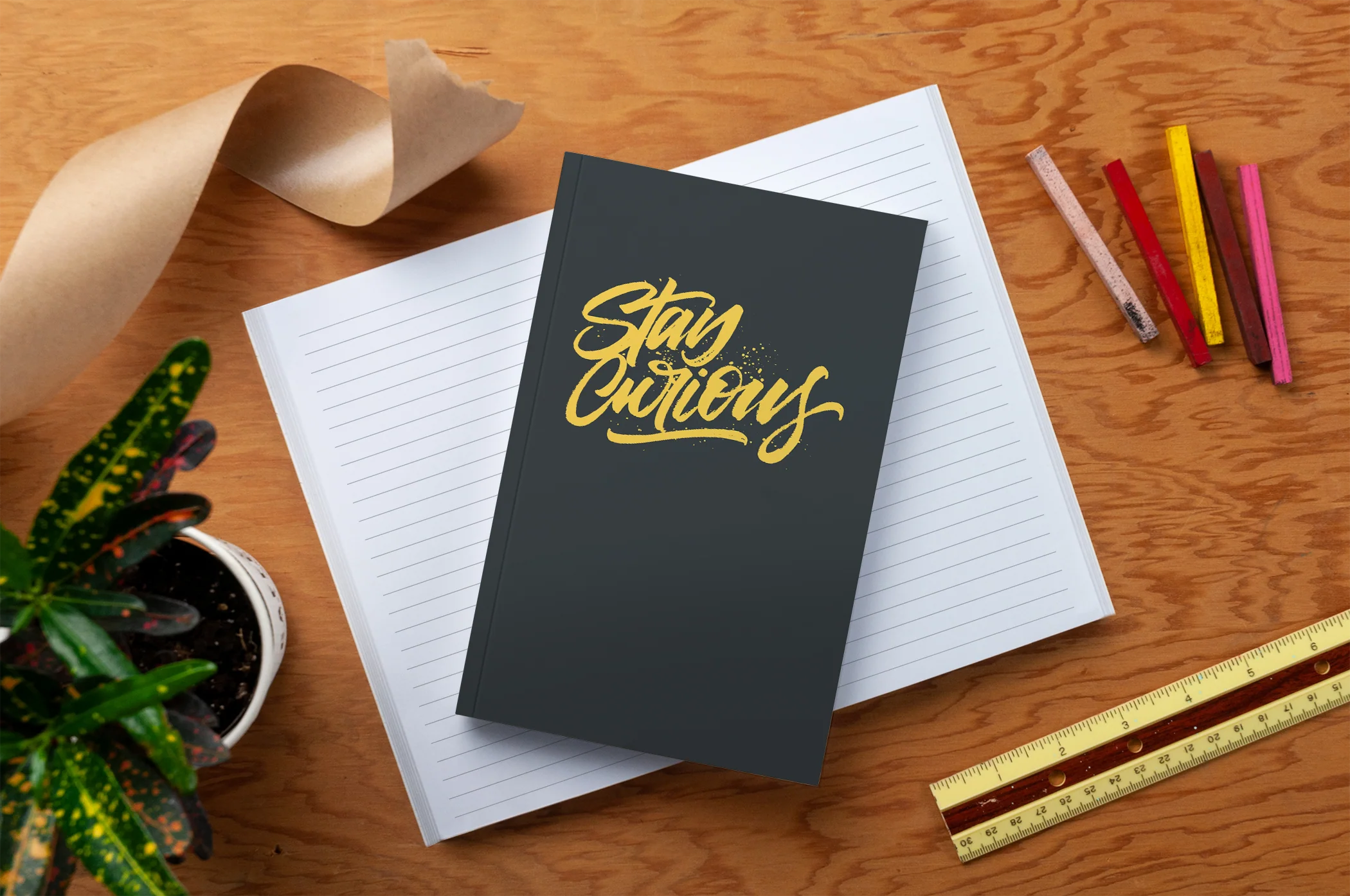 Stay Curious Notebook - Image 5