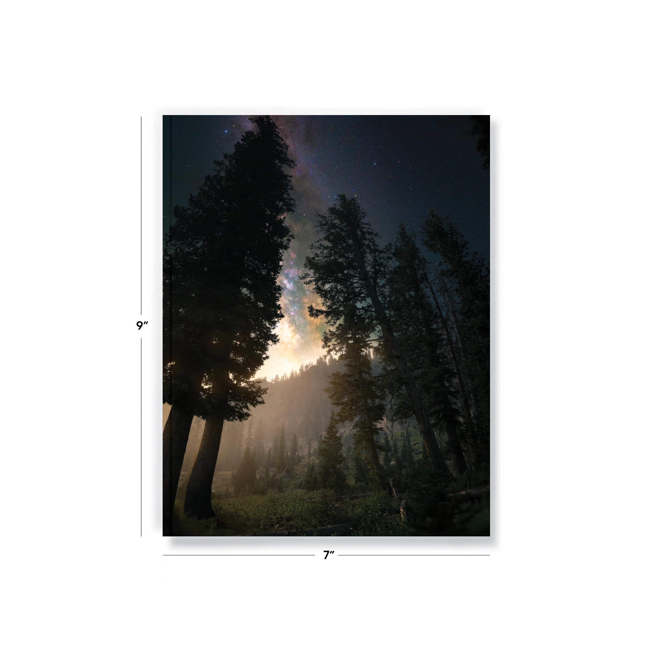 Towering Trees Medium Layflat Notebook - Image 3